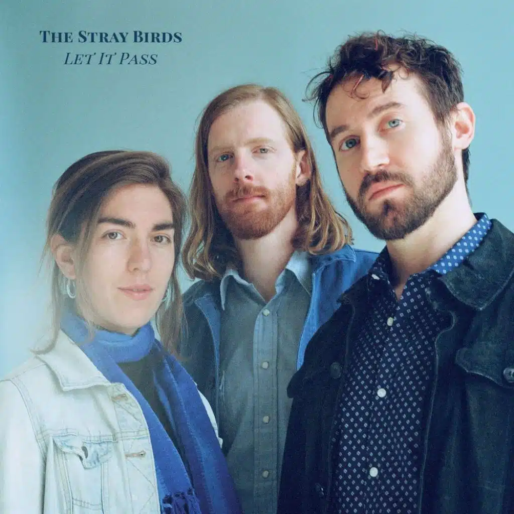 The Stray Birds