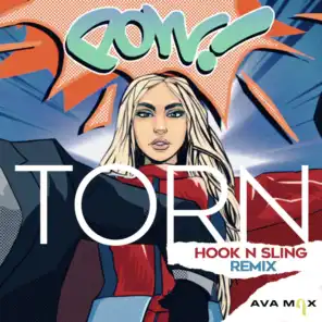 Torn (Hook N Sling Remix)