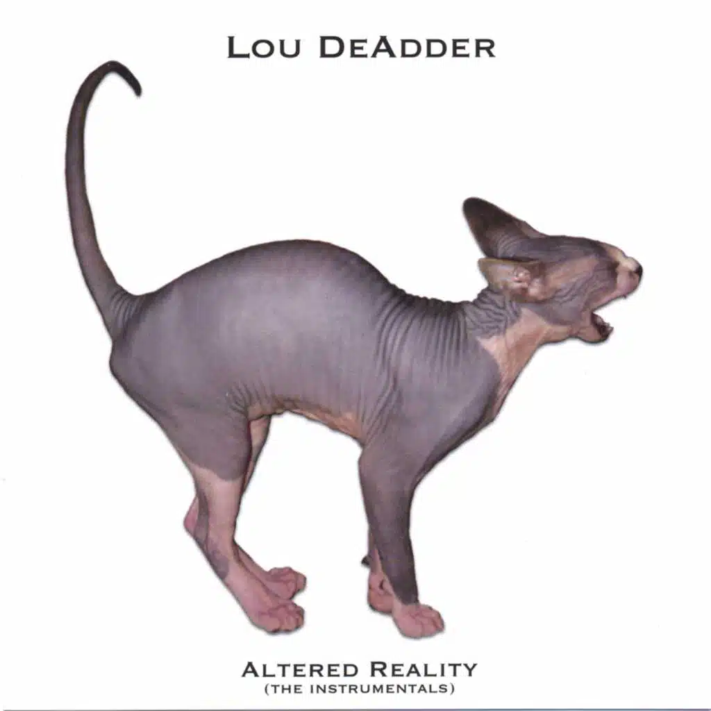 Altered Reality (The Instrumentals)