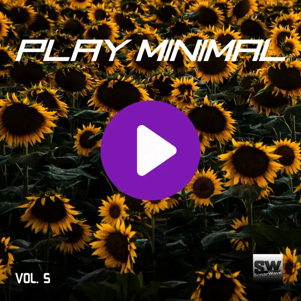 Play Minimal, Vol. 5