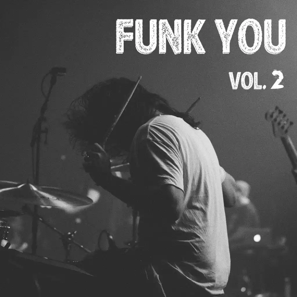 Funk You Vol.2