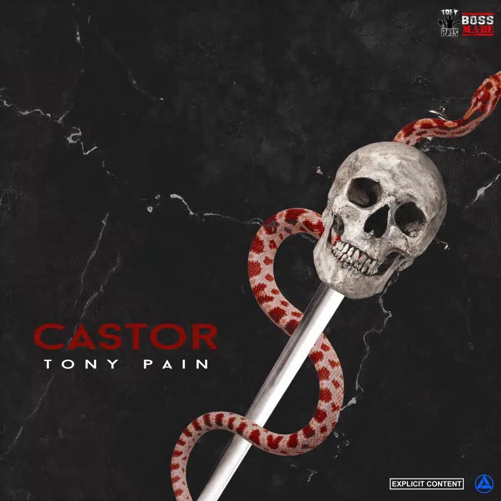 Castor