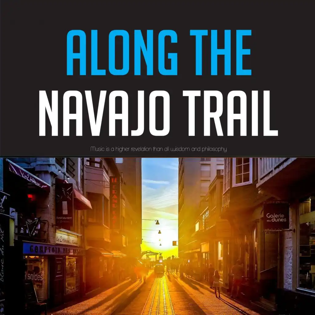Along the Navajo Trail