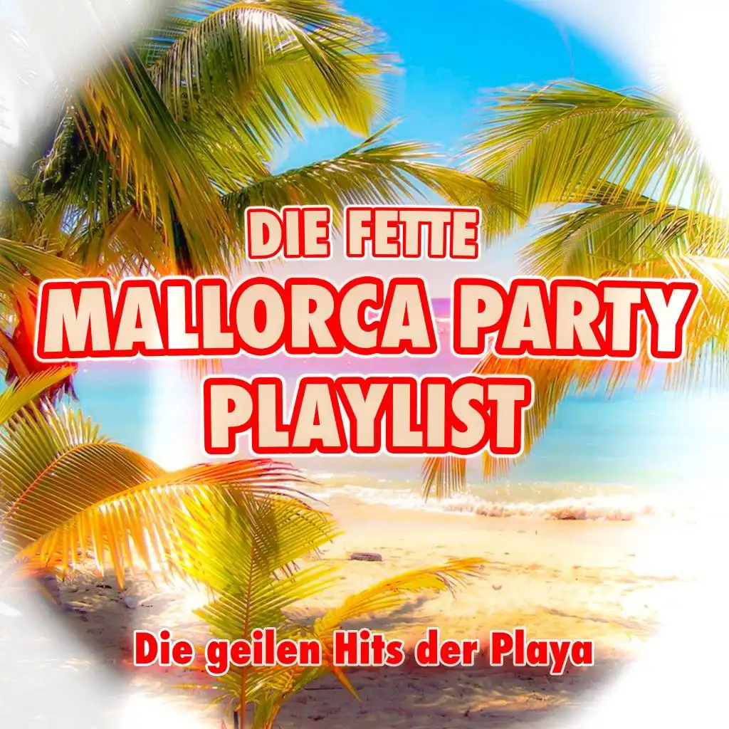 Wer schmeisst eine Runde (Party-Mix)