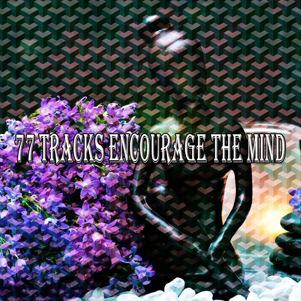 77 Tracks Encourage the Mind