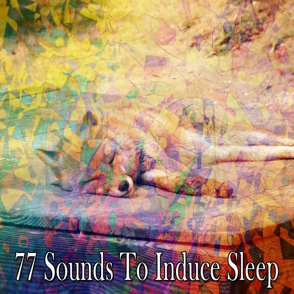 77 Sounds to Induce Sleep