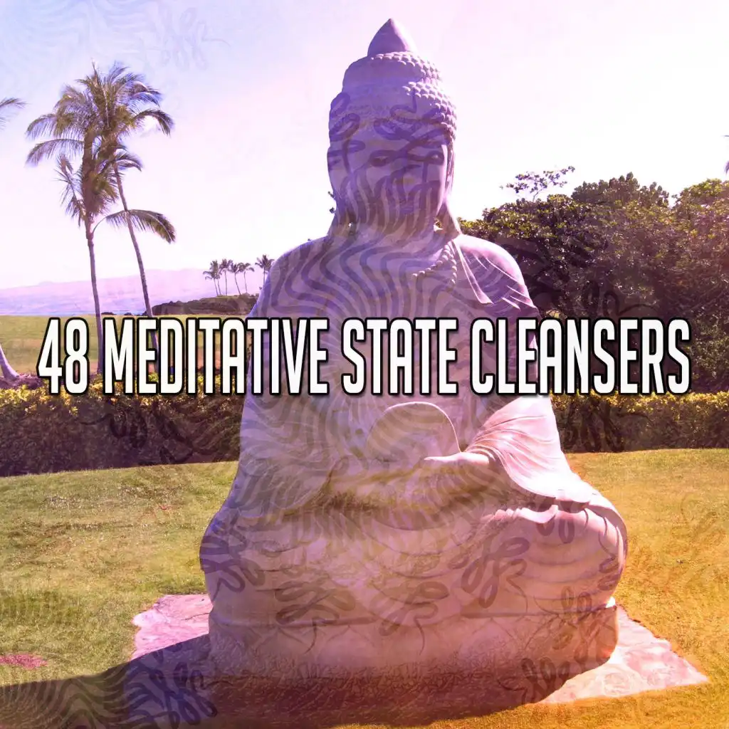 48 Meditative State Cleansers