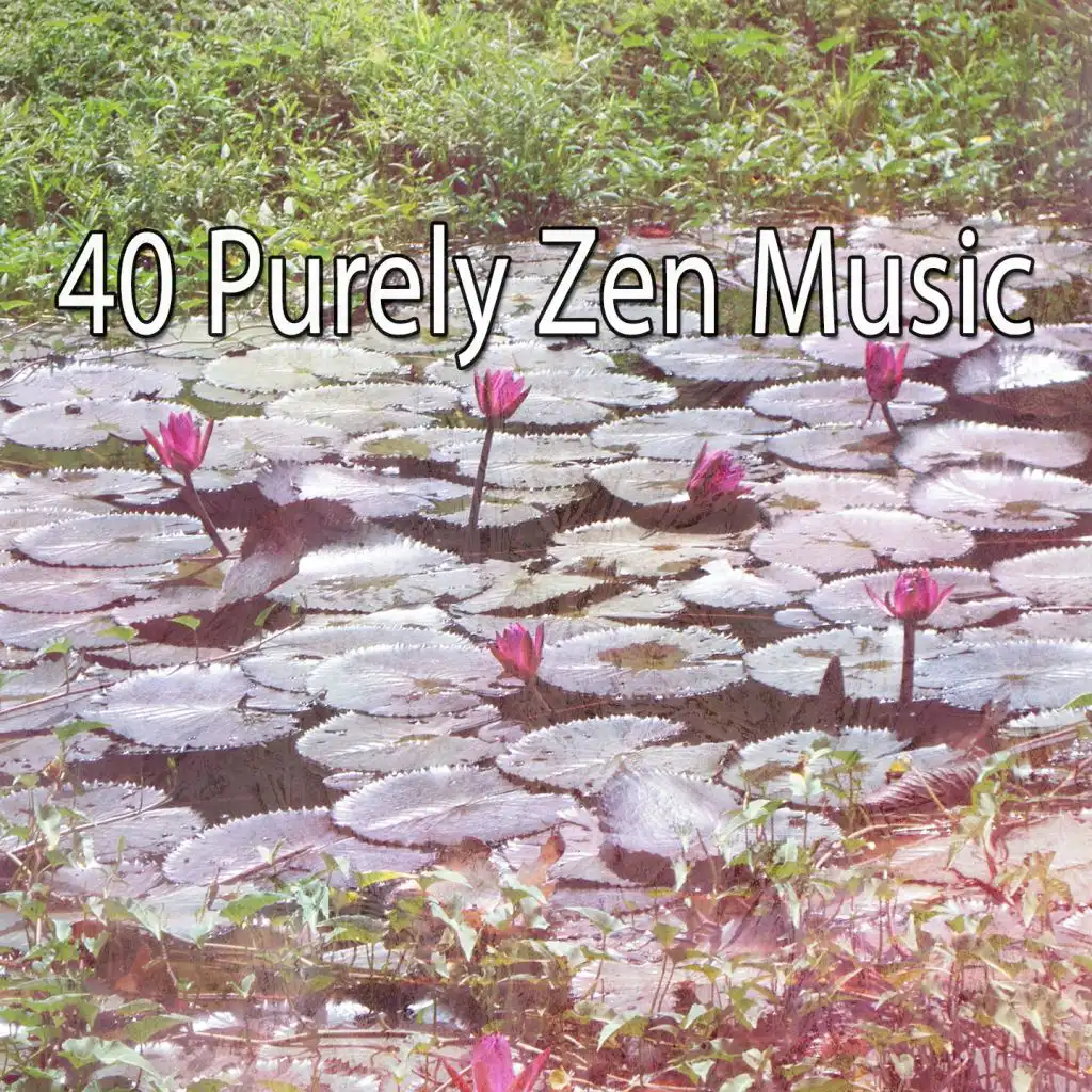 40 Purely Zen Music