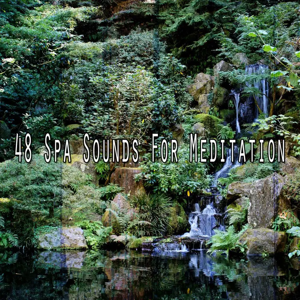 48 Spa Sounds for Meditation