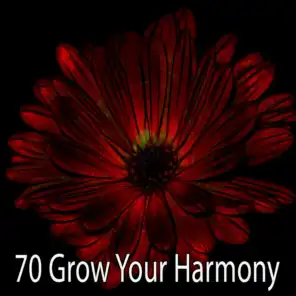 70 Grow Your Harmony