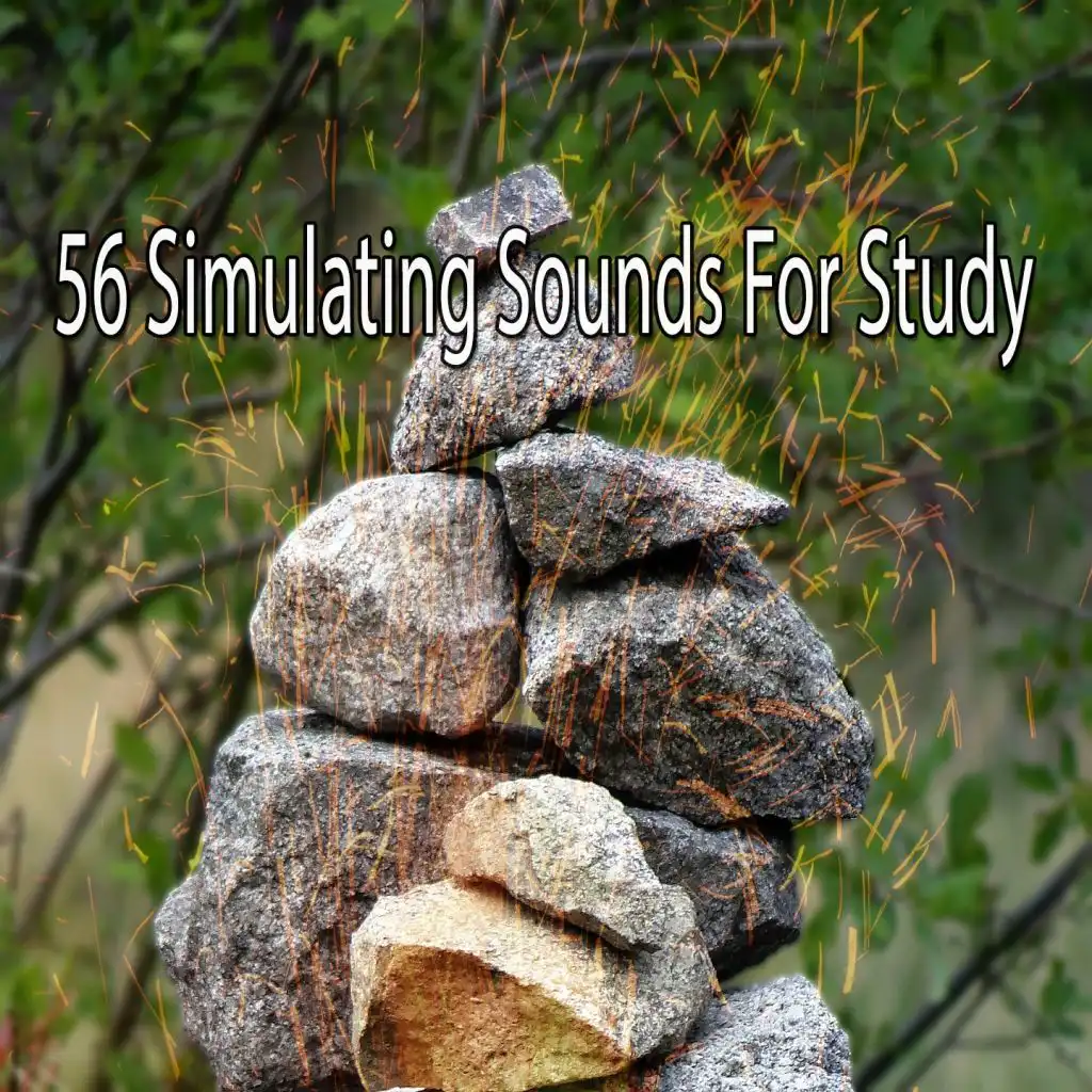 56 Simulating Sounds for Study