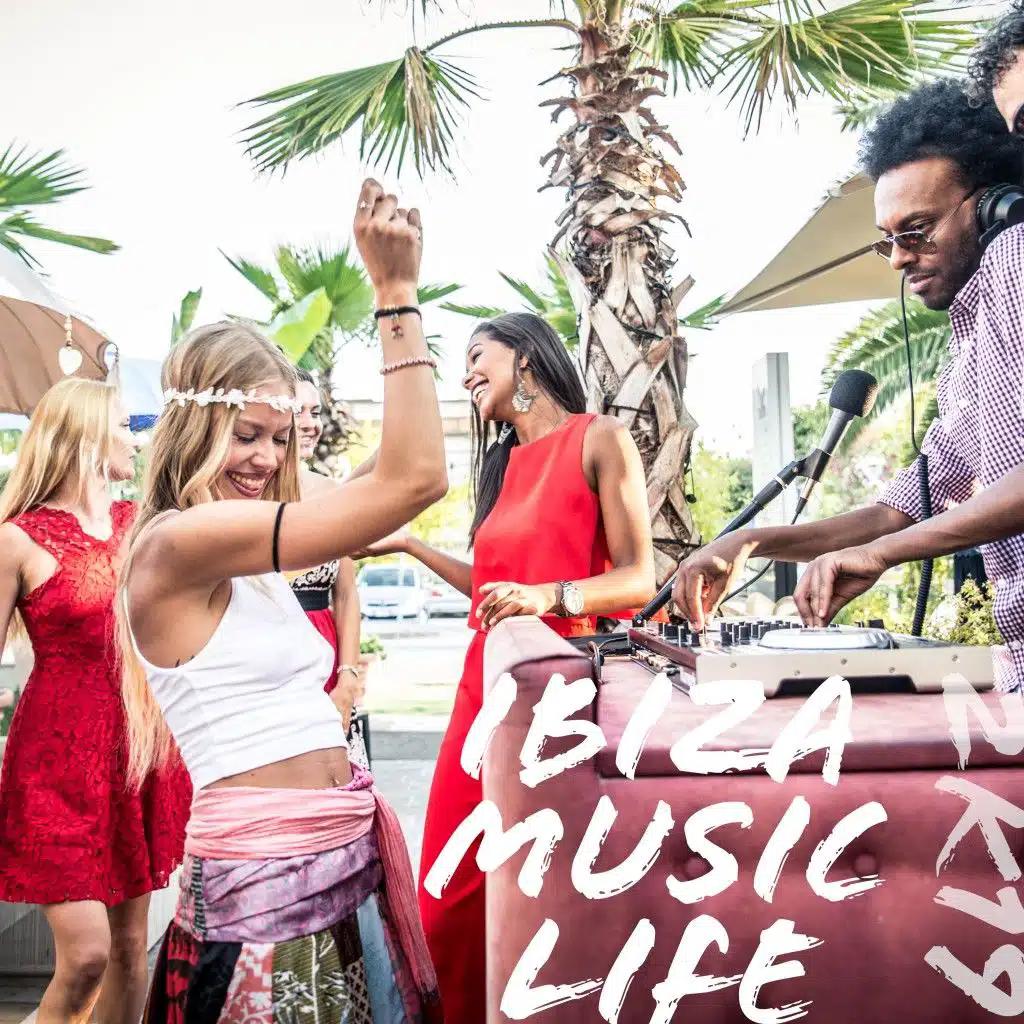 Agent 808 (Chris Cowley & Decibel Rockerz Radio Edit) [feat. Denyse LePage]