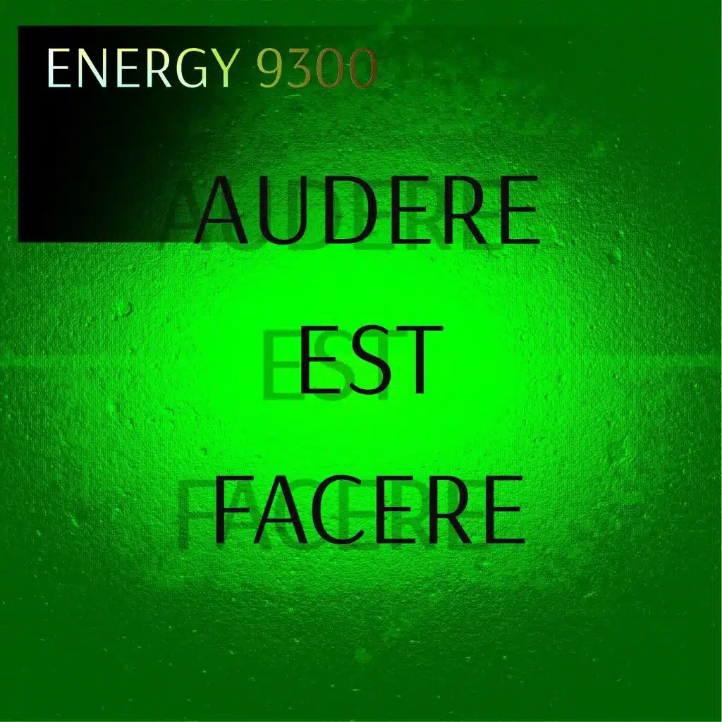 Audere est facere (Massive Mood & Energy 9300 Remix)
