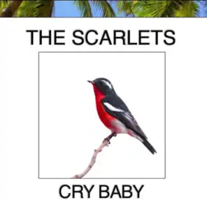 The Scarlets
