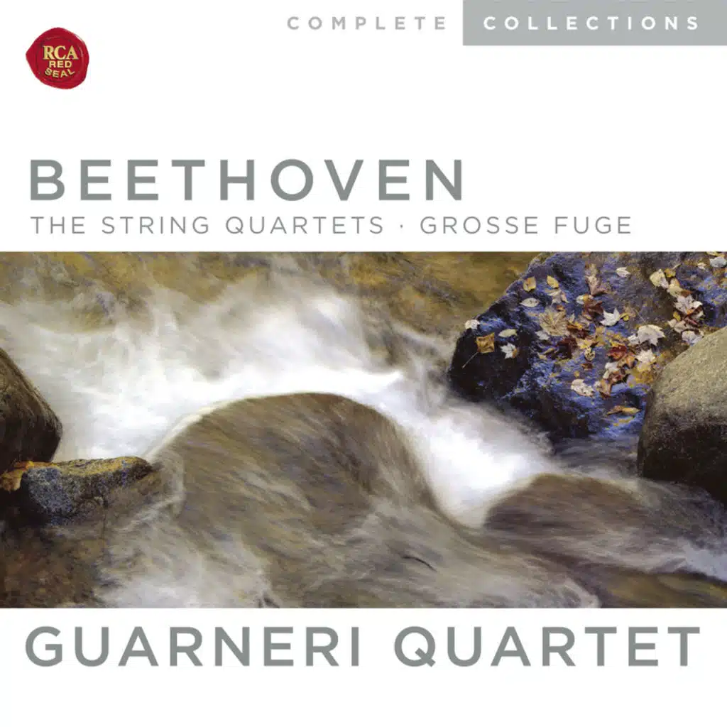 String Quartet No. 15 in A Minor, Op. 132: III. Molto adagio