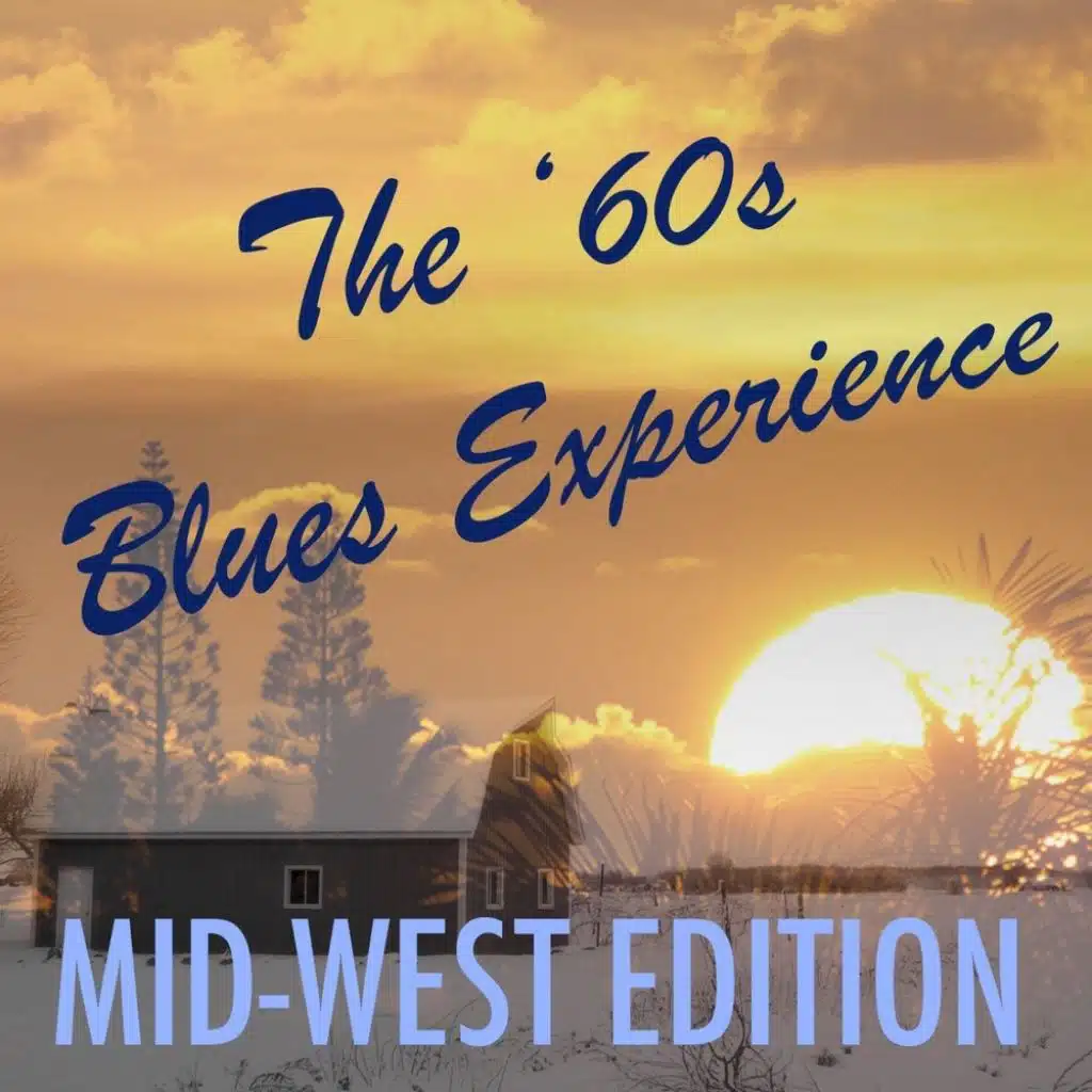 Bring It on Home (Live)