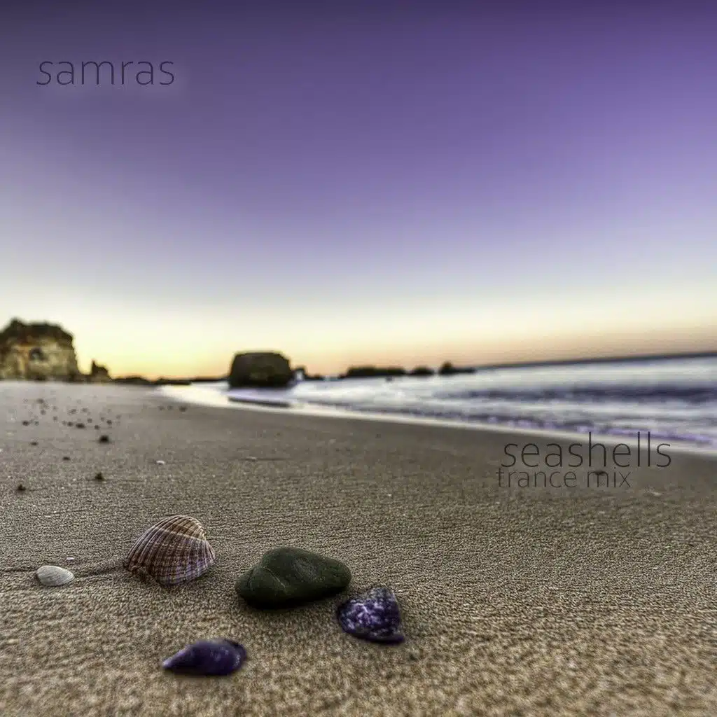 Seashells