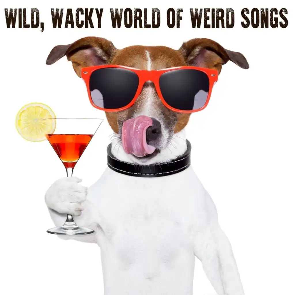 Wild, Wacky World of Weird Songs