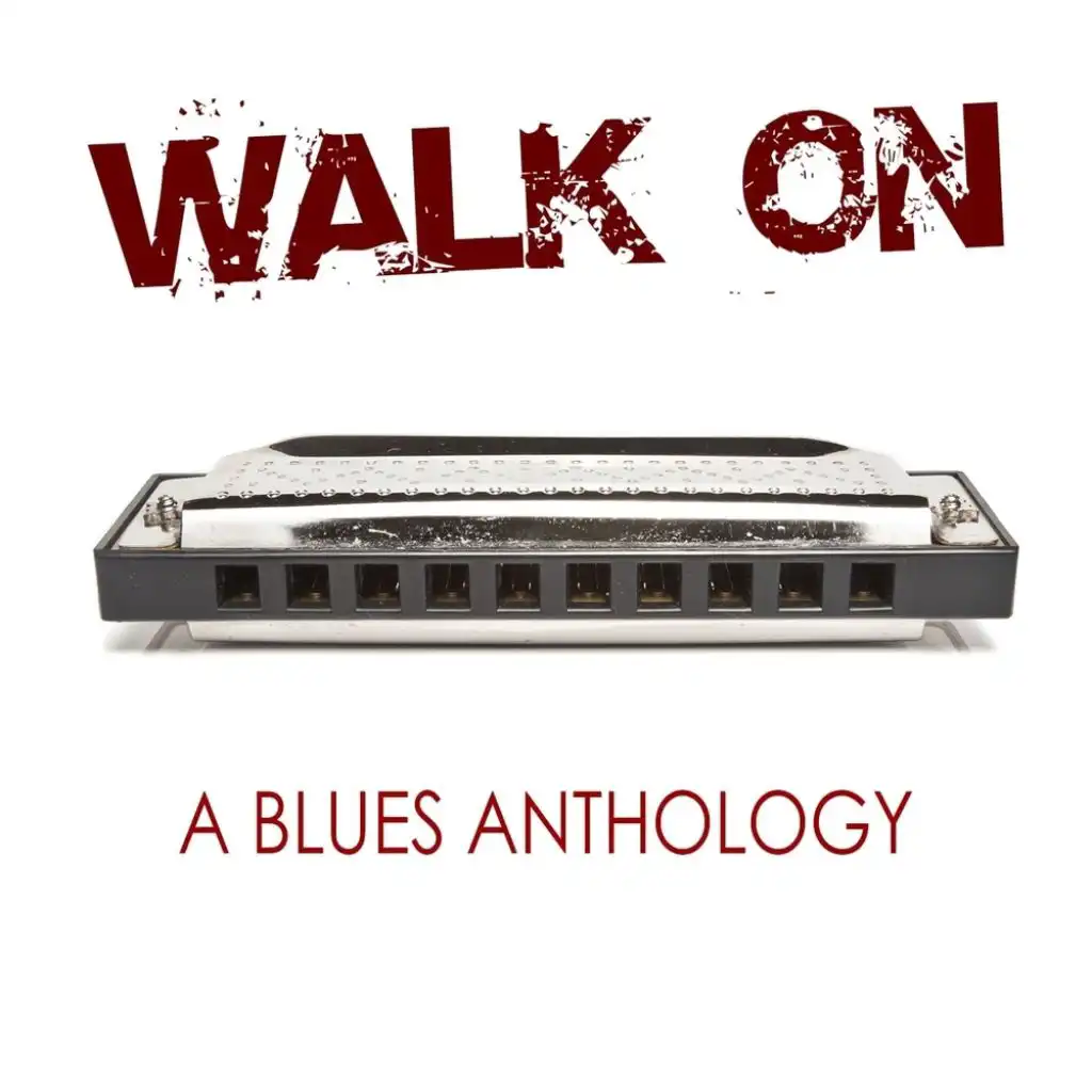 Walk On: A Blues Anthology