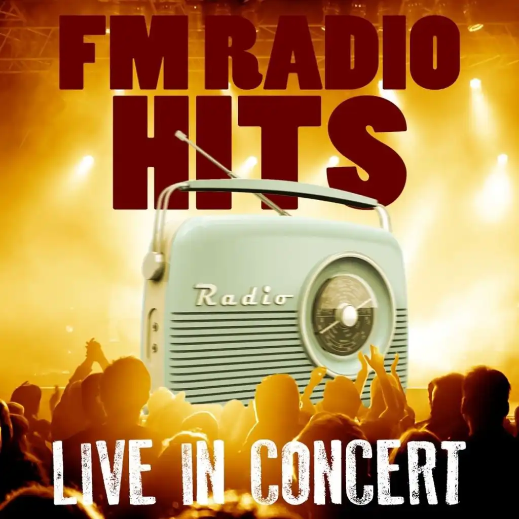 FM Radio Hits Live In Concert