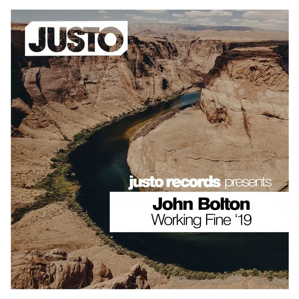 Working Fine (VIP Mix)
