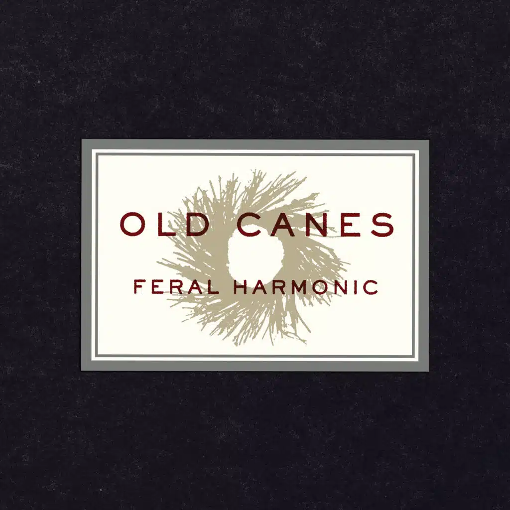 Old Canes