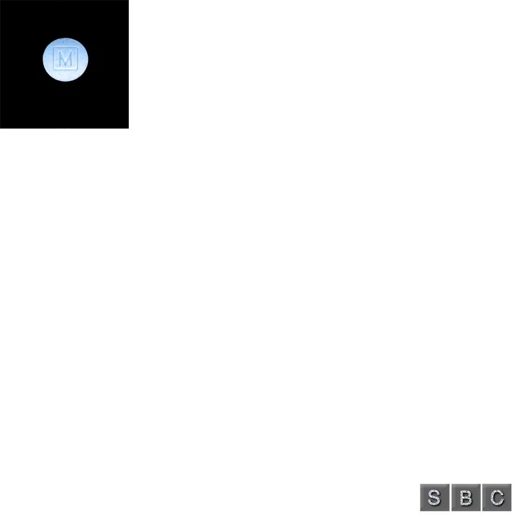 Mbox Files