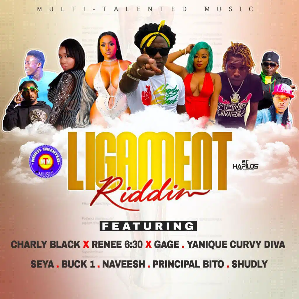 Ligament Riddim