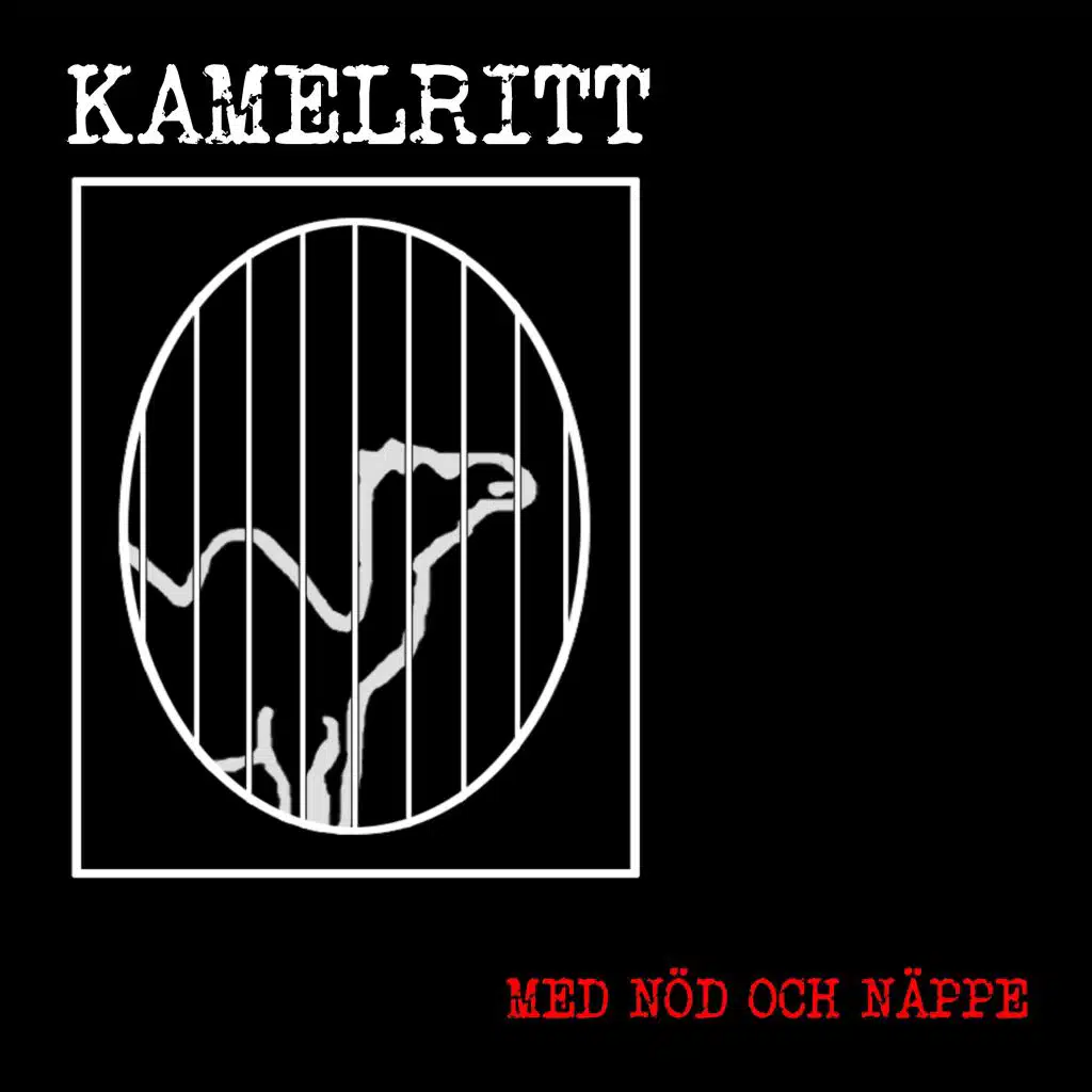 Med nöd och näppe