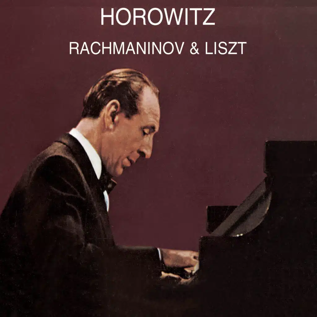 Piano Sonata No. 2 in B-Flat Minor, Op. 36: I. Allegro agitato