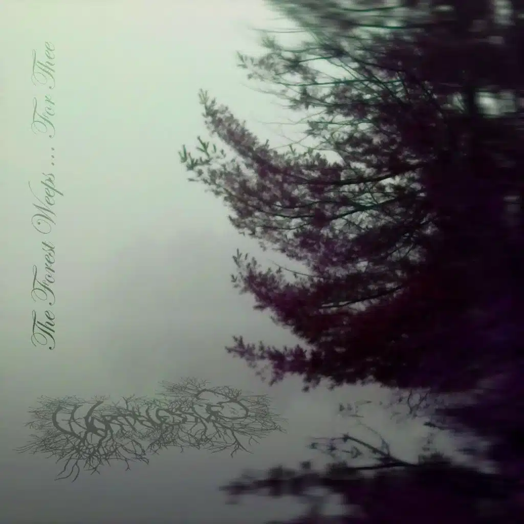 Reaching Solitude In Death