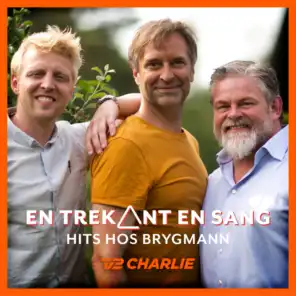 En Trekant En Sang 1 - Hits Hos Brygmann