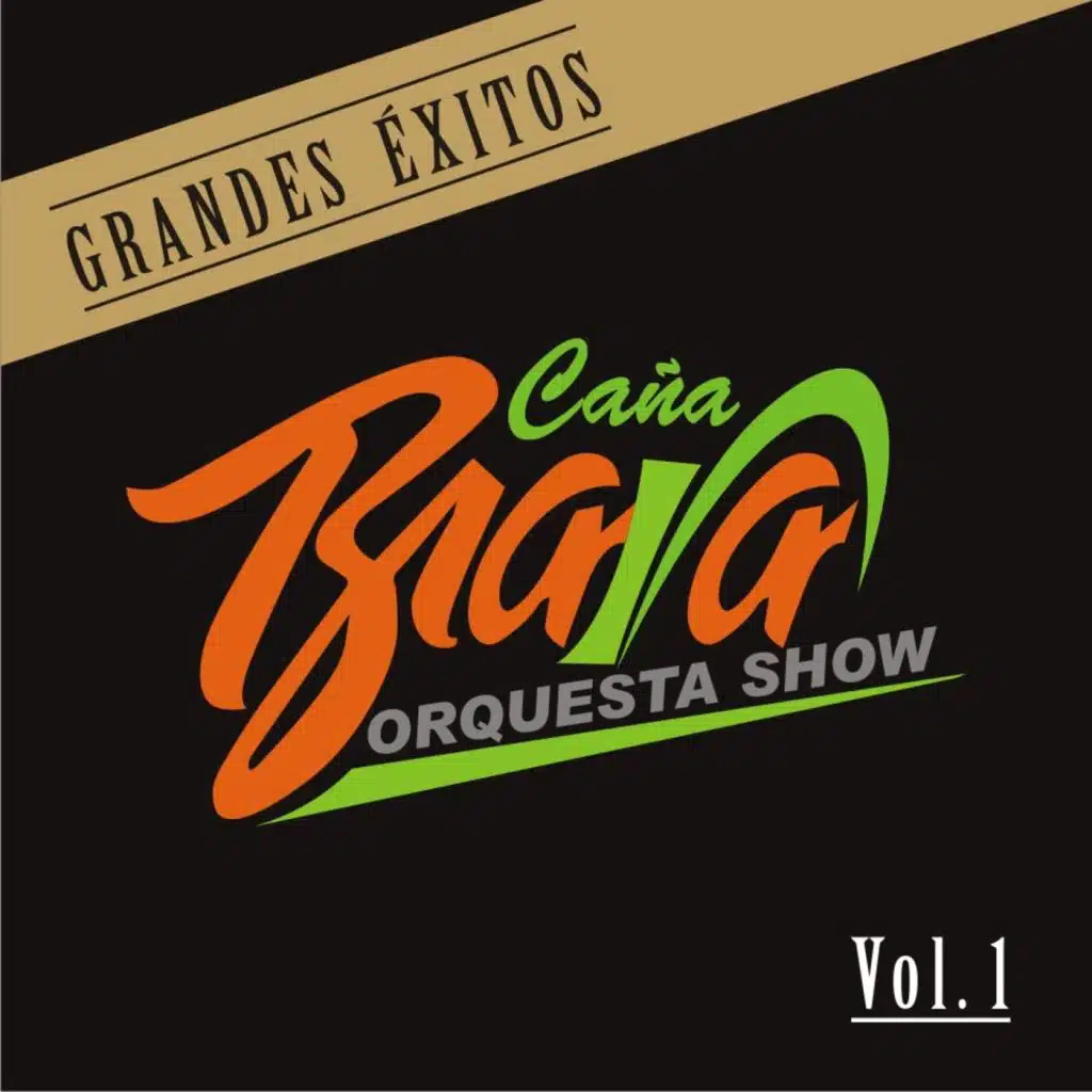 Grandes Exitos Vol.1
