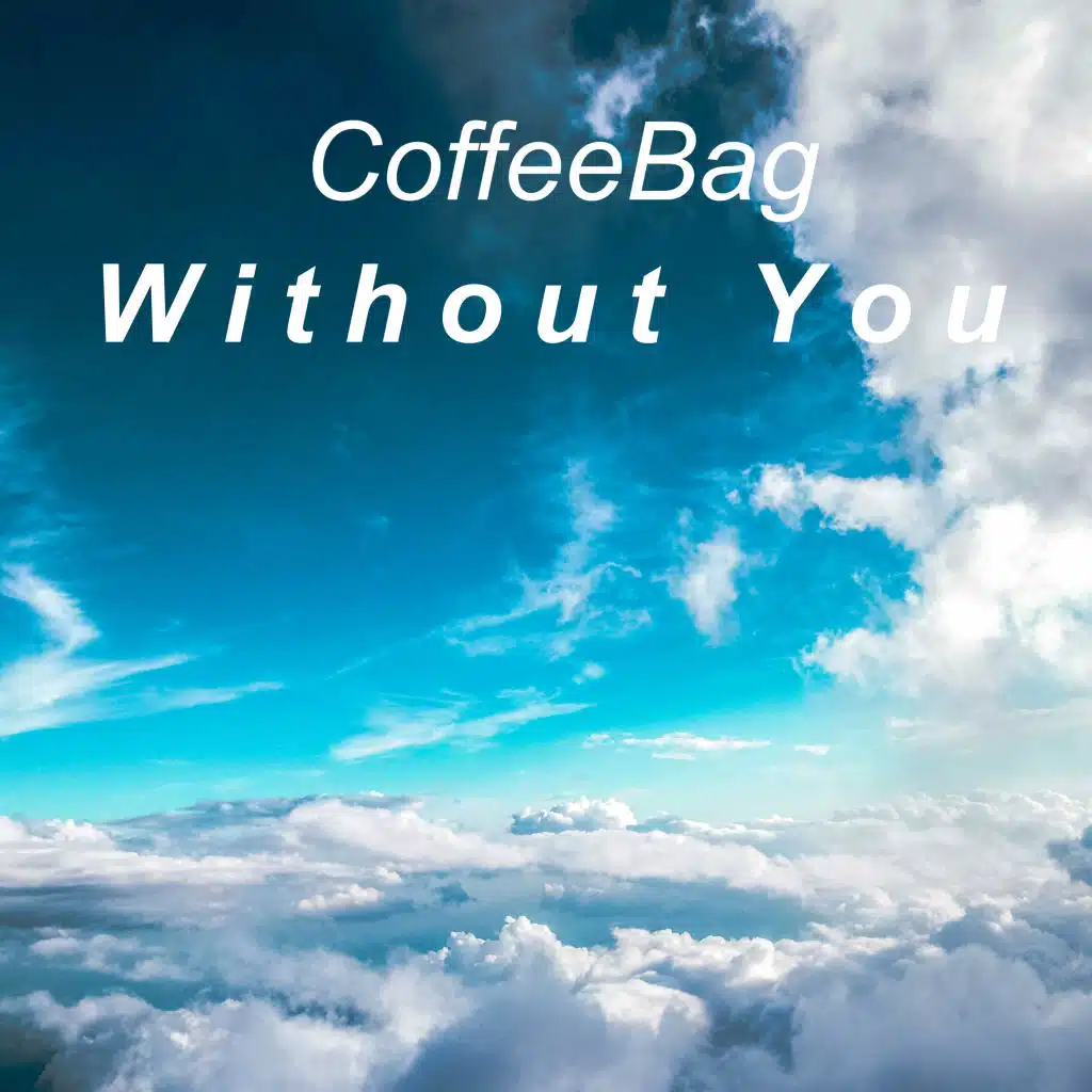 Without You