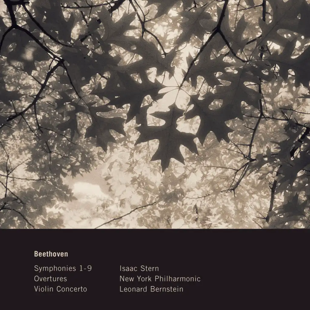 Symphony No. 5 in C Minor, Op. 67: IV. Allegro