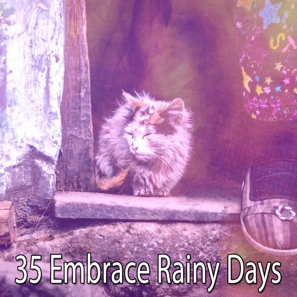 35 Embrace Rainy Days