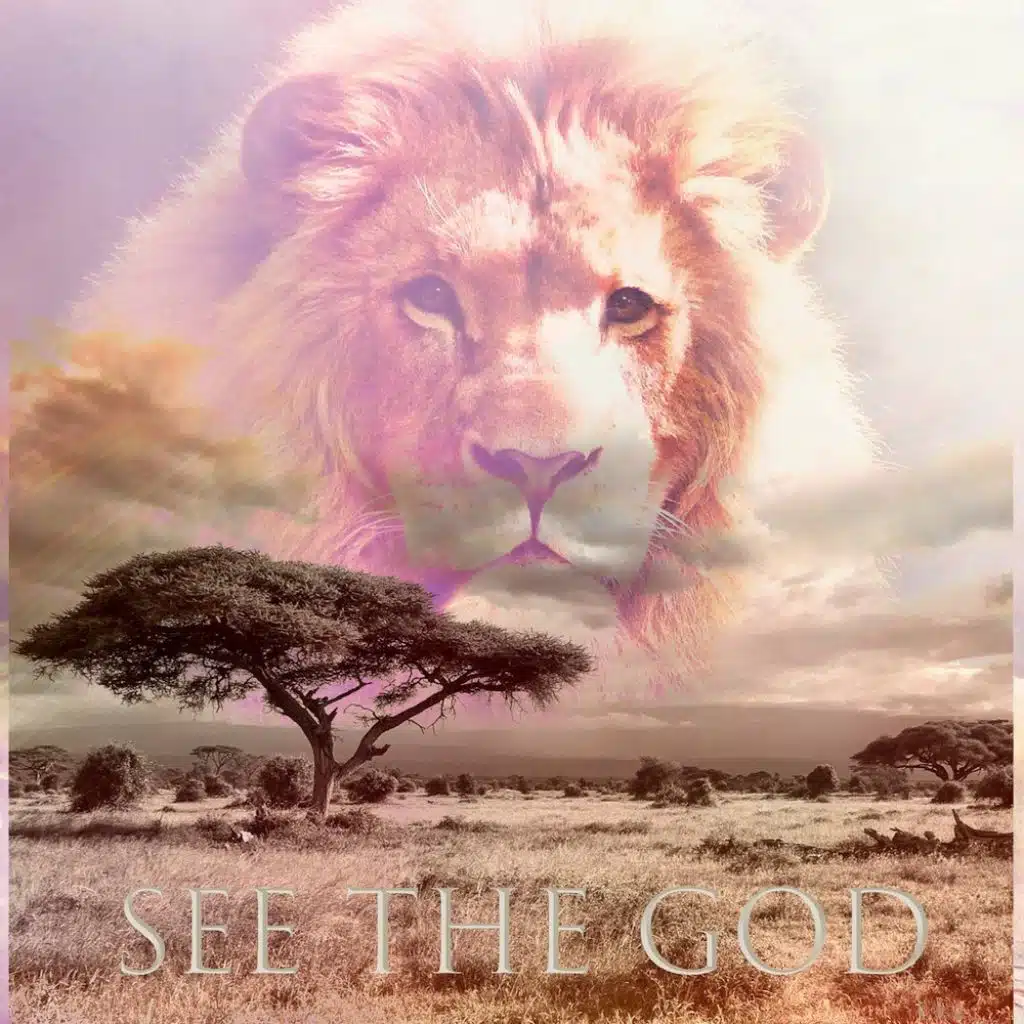 See the God (feat. Everett W. Miller & Popo Salami)