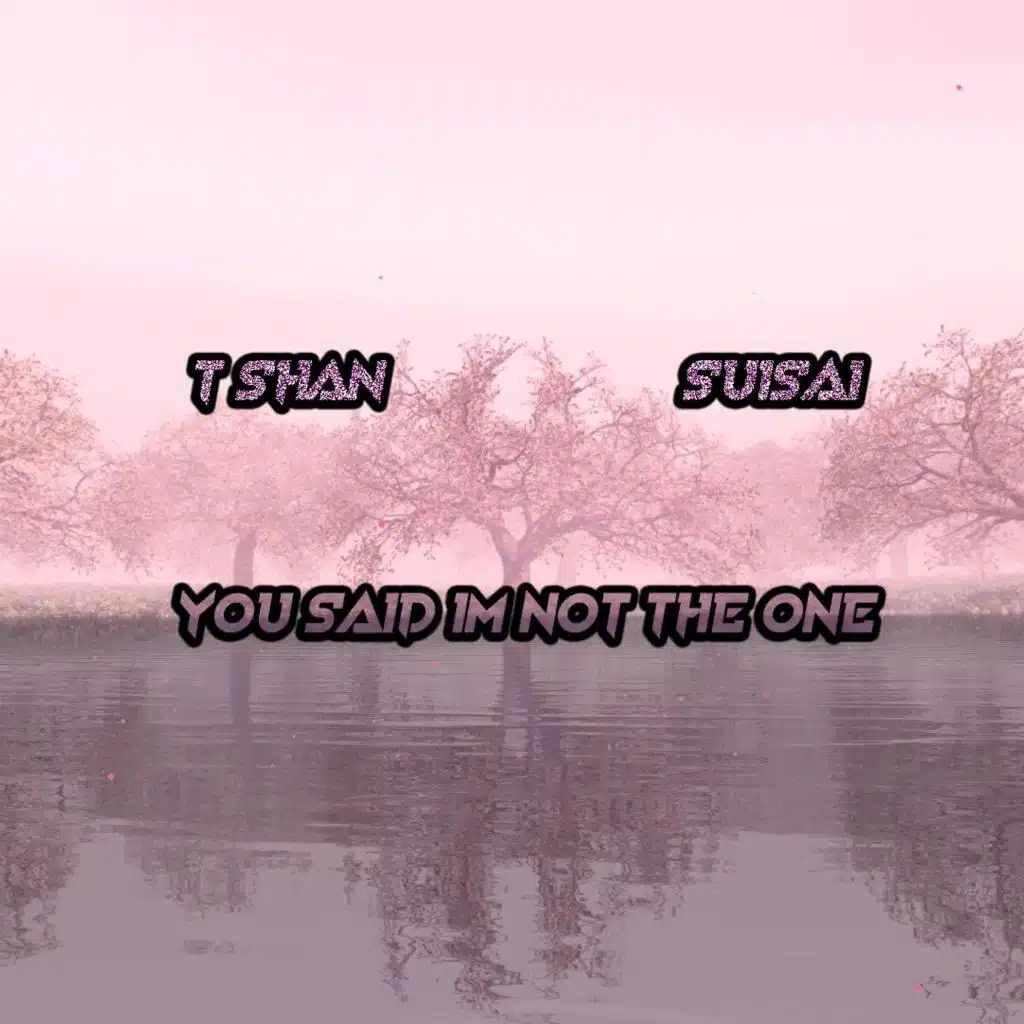 You Said I'm Not the One (feat. SuiSai)