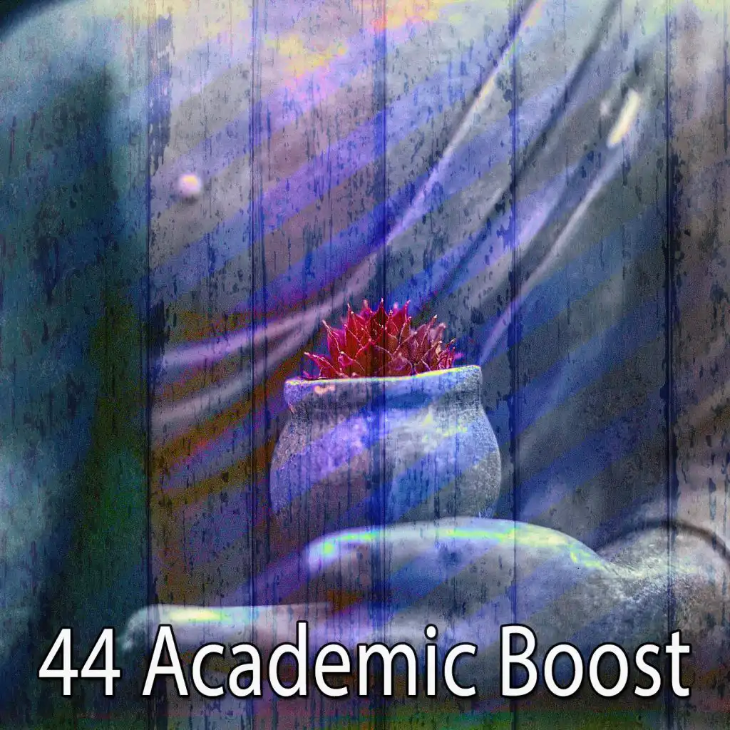 44 Academic Boost