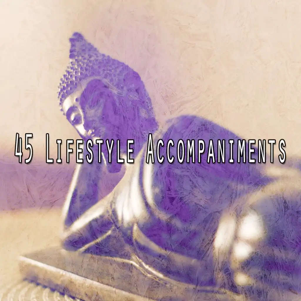 45 Lifestyle Accompaniments