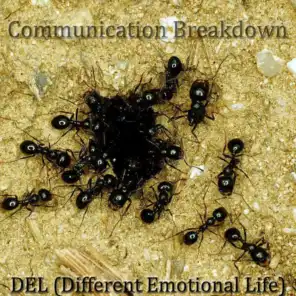 DEL (Different Emotional Life)