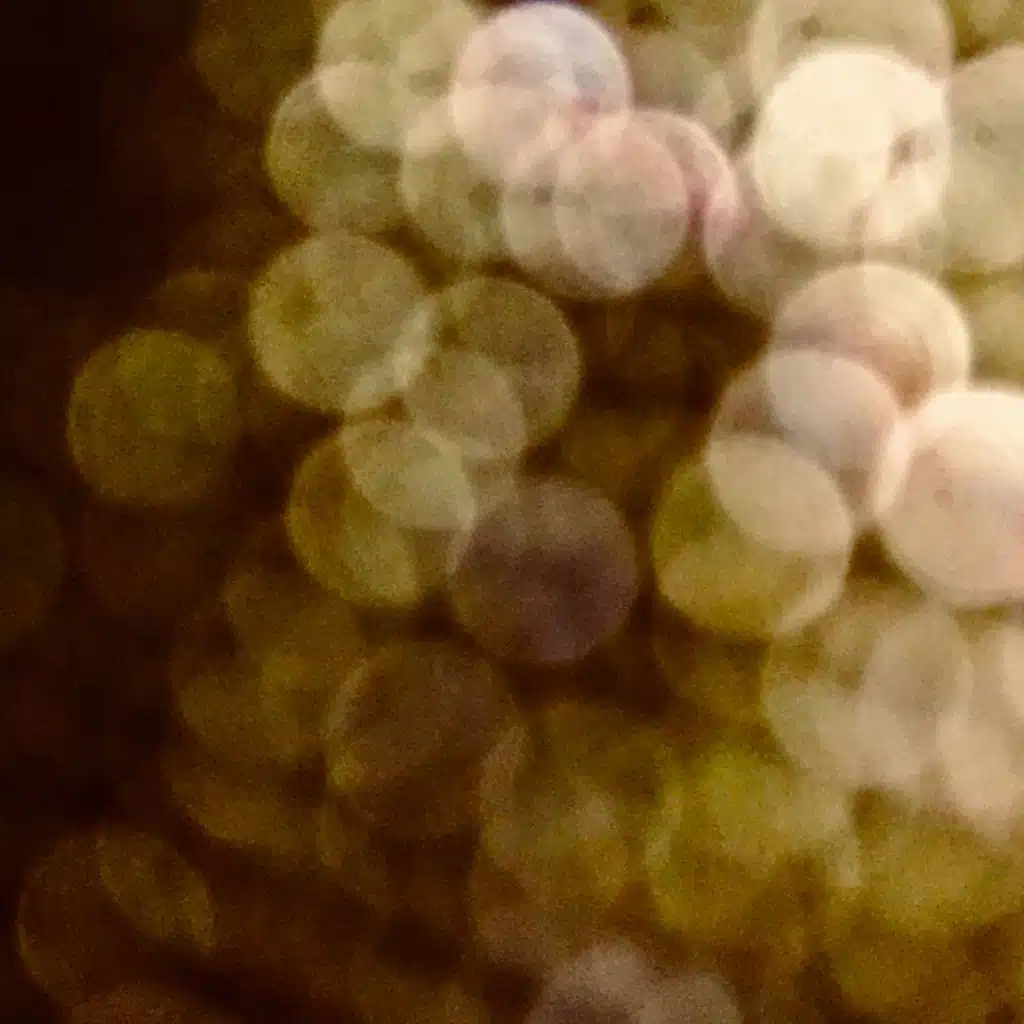 Night Effects