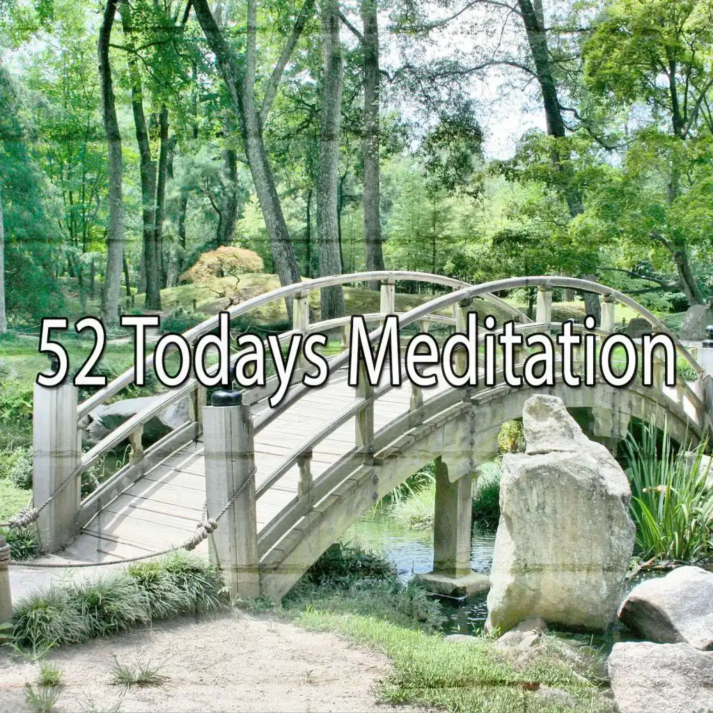 52 Todays Meditation