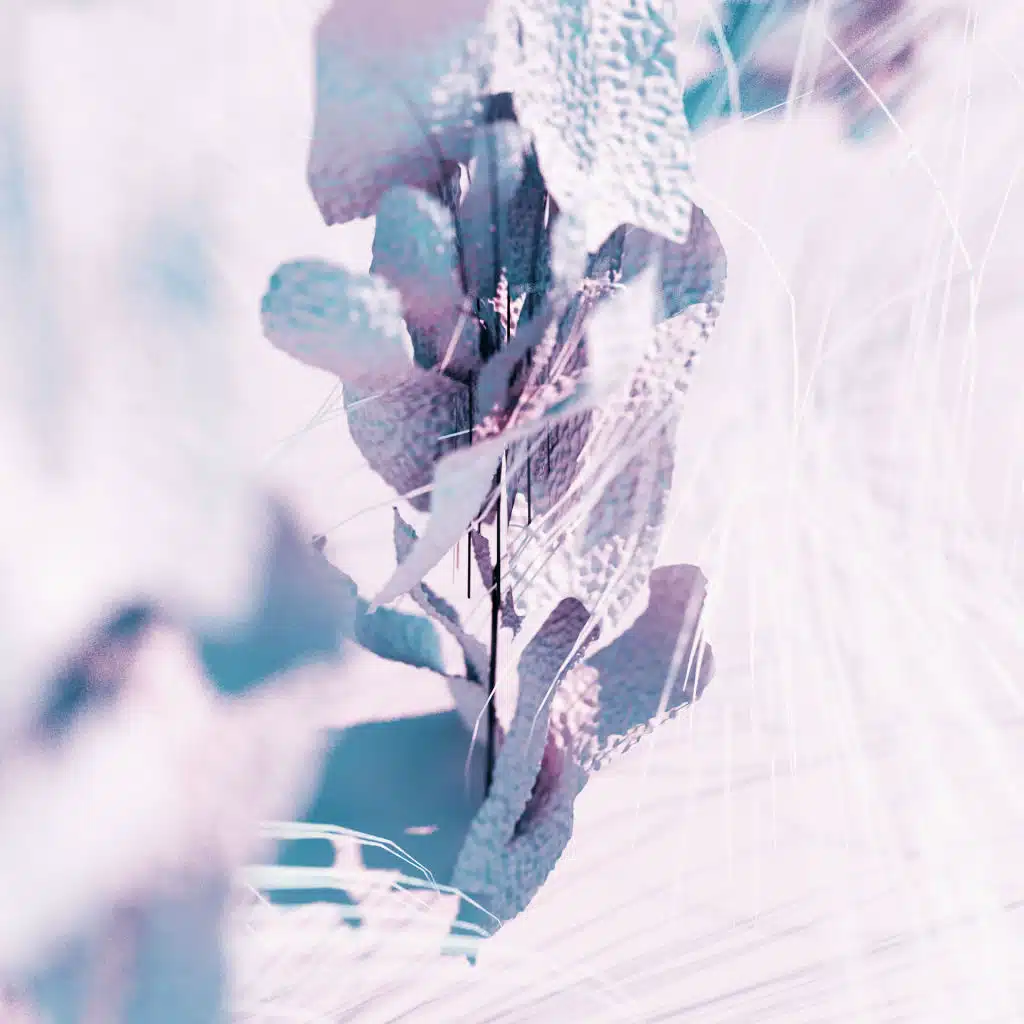 artist-header-image