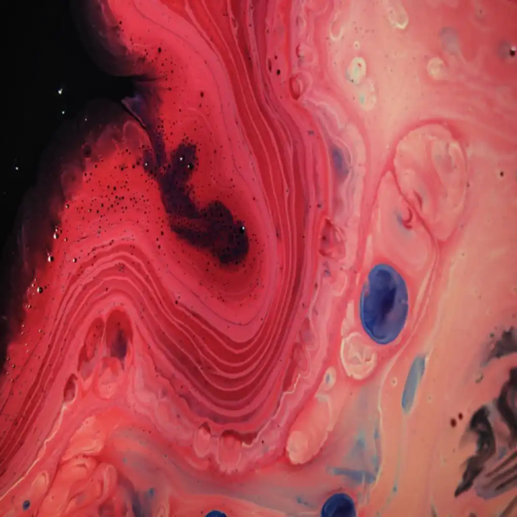 header-image