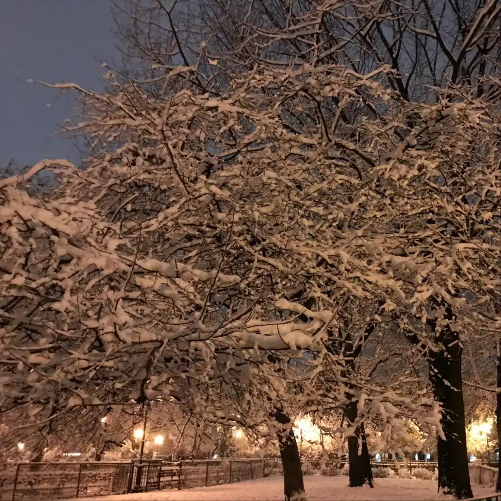 header-image