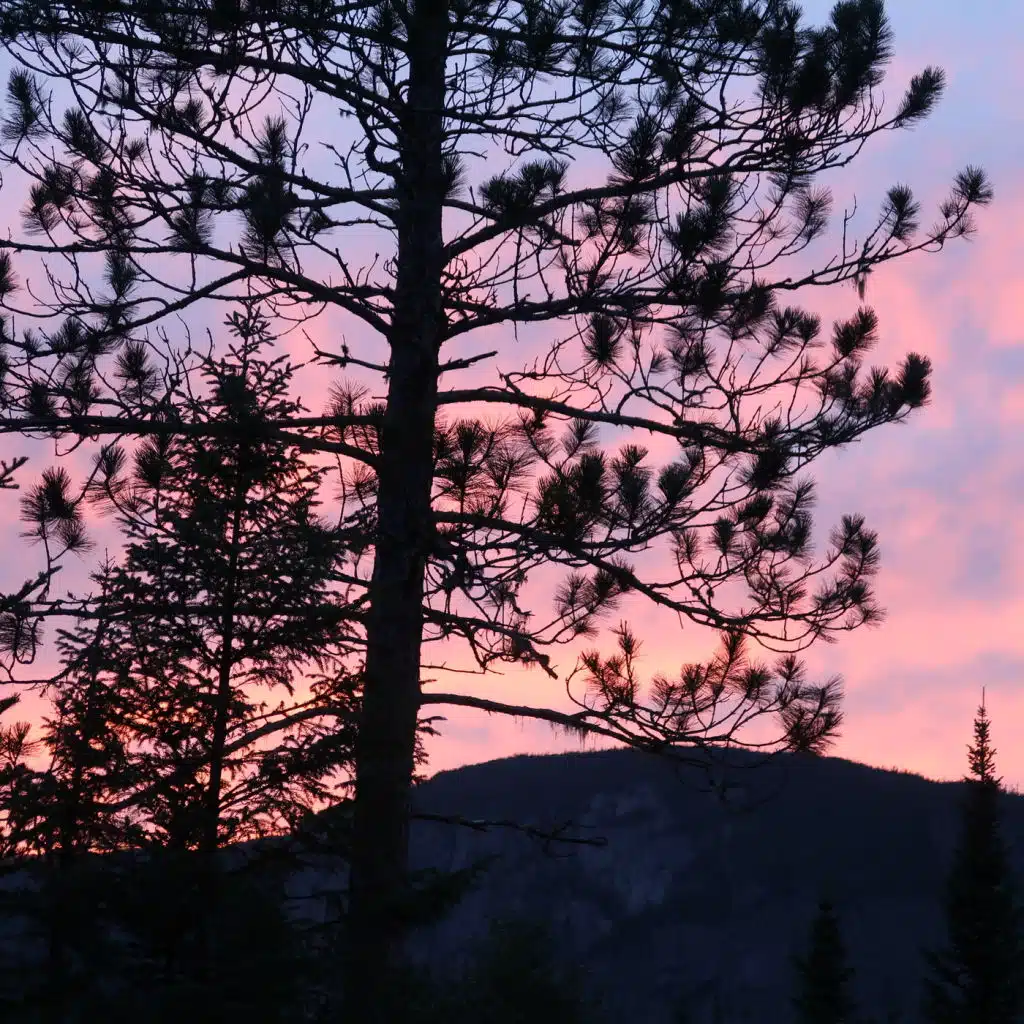 header-image