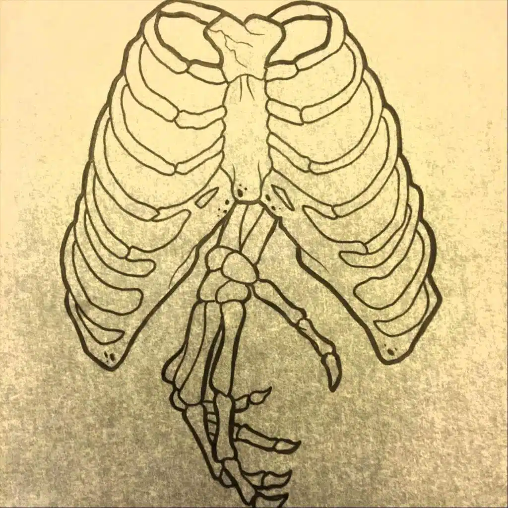 artist-header-image