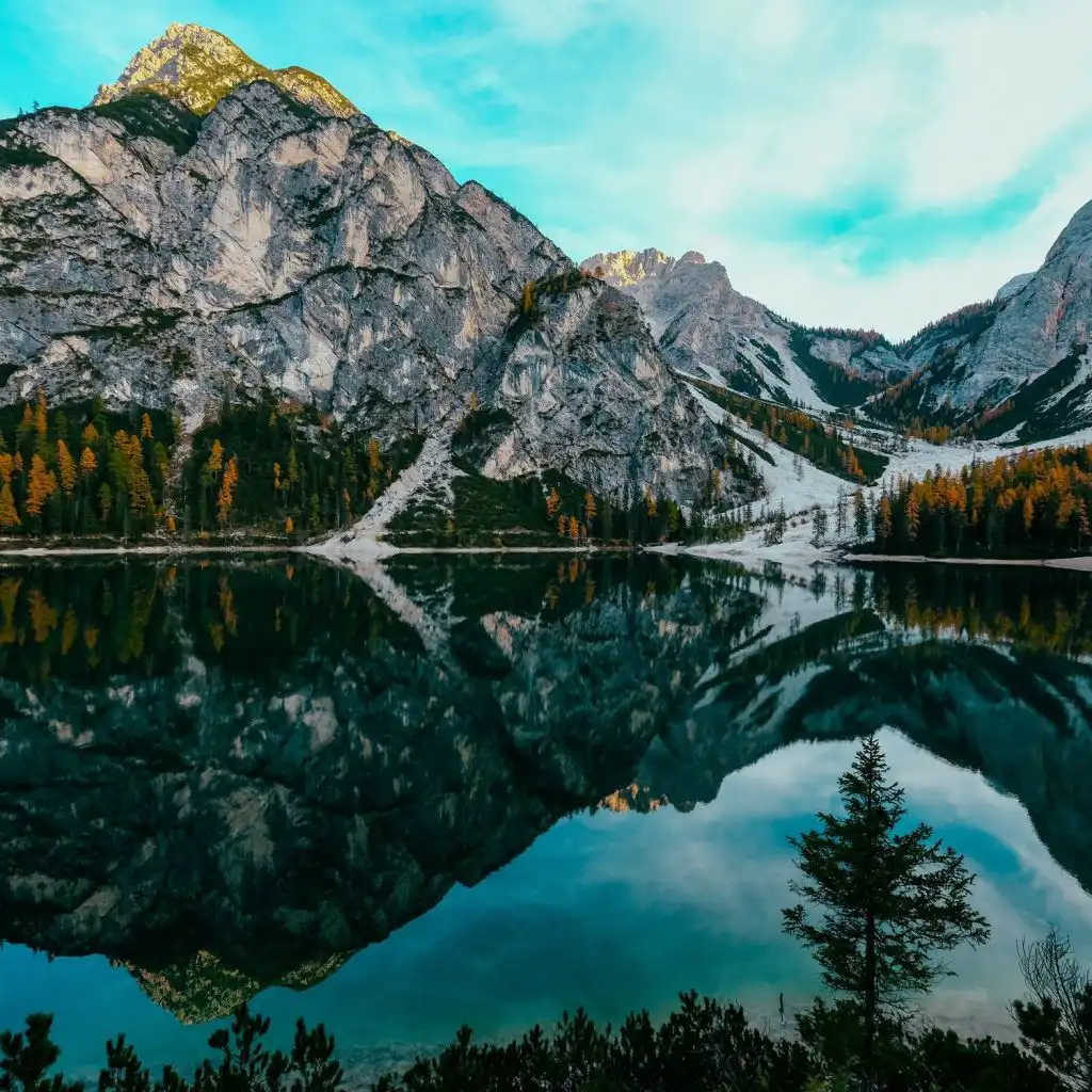 header-image