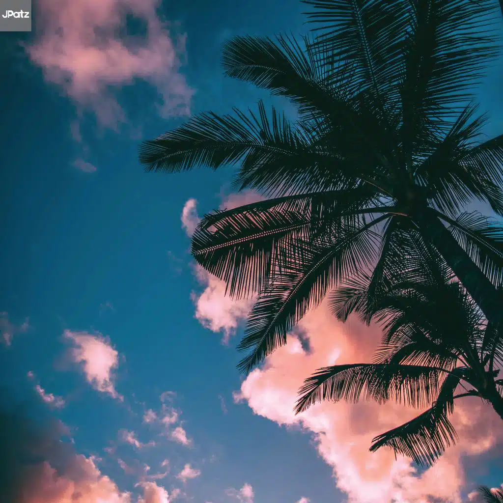 header-image